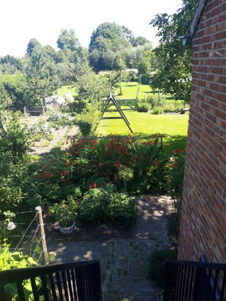 Studio Nok Bij Den Bosch Den Dungen ภายนอก รูปภาพ