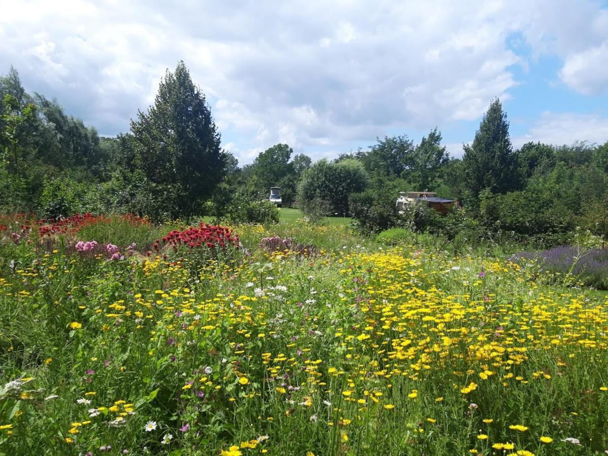 Studio Nok Bij Den Bosch Den Dungen ภายนอก รูปภาพ