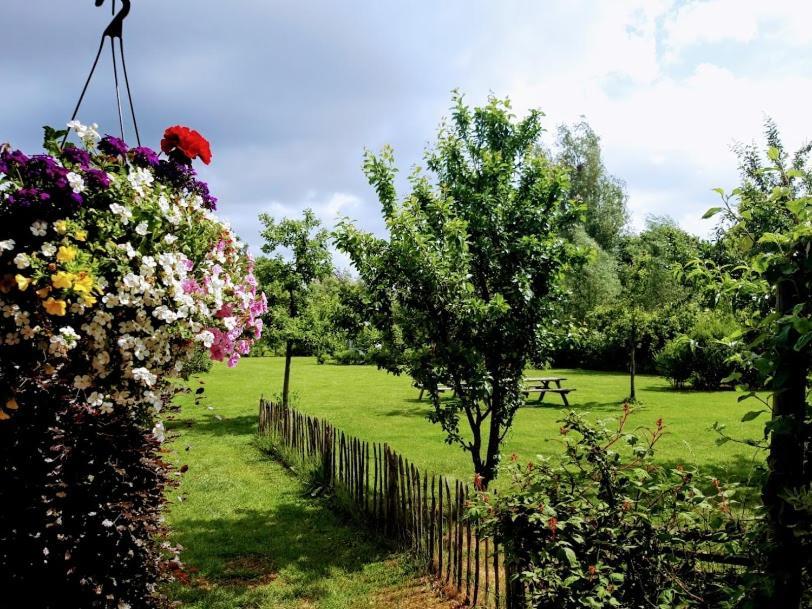 Studio Nok Bij Den Bosch Den Dungen ภายนอก รูปภาพ
