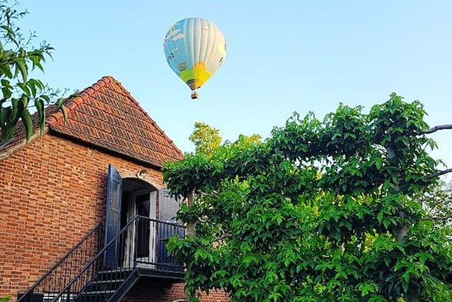 Studio Nok Bij Den Bosch Den Dungen ภายนอก รูปภาพ